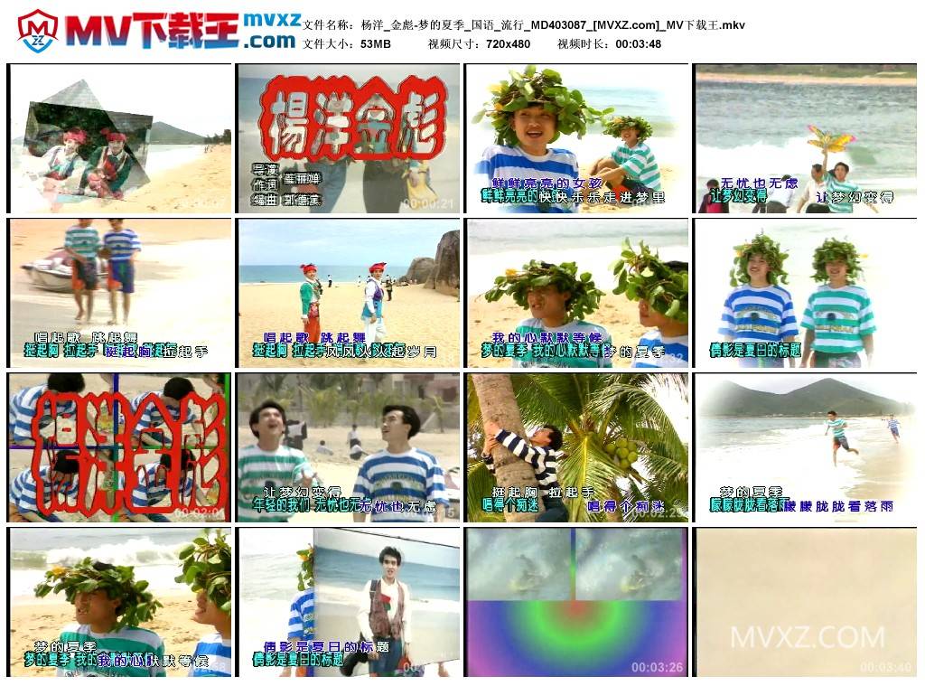 杨洋_金彪-梦的夏季_国语_流行_MD403087